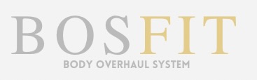 Bos Fit Body Overhaul System 